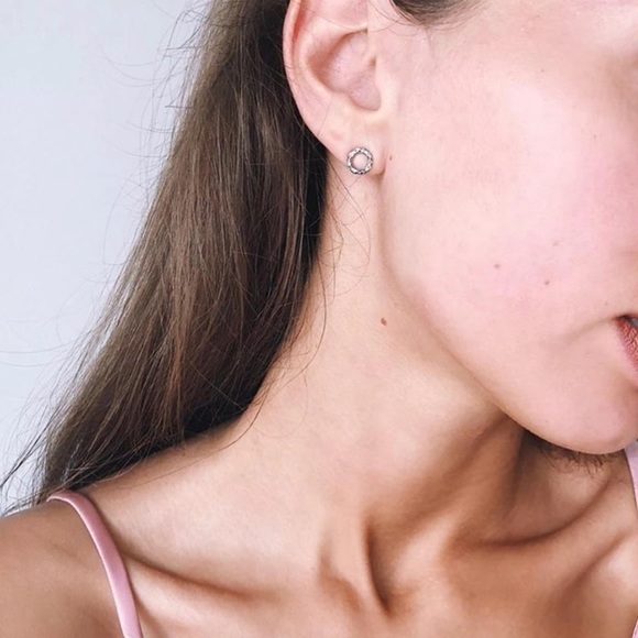 Stainless Steel Stud Earrings - Picture 3 of 4